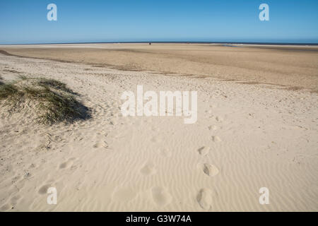 Une scène de plage de Holkham beach, Norfolk. Banque D'Images