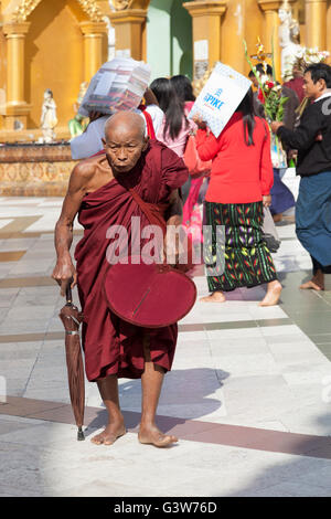 Un vieux moine courbé avec l'âge qui va effectuer sa dévotion à la Paya Shwedagon, à Yangon (Myanmar). Banque D'Images