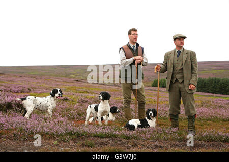 Le tétras du Canada. Jimmy Shuttlewood garde-chasse et de tirer sur la chapelle James organisateur North York Moors avec Épagneuls Springer Anglais Banque D'Images