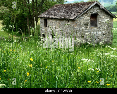 Herbes longues en été dans une grange près de West Burton dans Wensleydale Yorkshire Dales England Banque D'Images