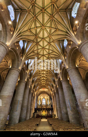 Le plafond voûté et les colonnes de la nef de l'abbaye de Tewkesbury, Angleterre Banque D'Images