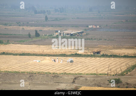 Les champs cultivés le long du Canal de Suez, Egypte Banque D'Images