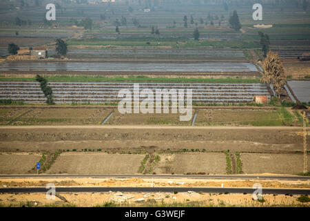 Les champs cultivés le long du Canal de Suez, Egypte Banque D'Images