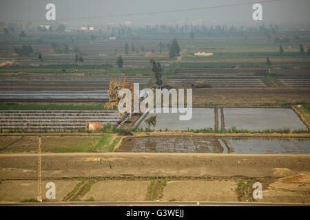 Les champs cultivés le long du Canal de Suez, Egypte Banque D'Images