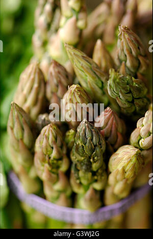 Asperges lié dans une bande avec une bande mauve Banque D'Images