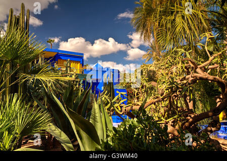 Jardin Majorelle Banque D'Images