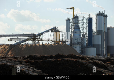 L'URUGUAY Fray Bentos , l'usine de pâte d'UPM produire sans chlore élémentaire (ECF) de la pâte à partir de bois d'eucalyptus FSC, capacité, 1 100 000 tonnes par an et l'usine produit de l'électricité et de la vapeur pour la consommation propre et de plus de 20 à 30 MW d'électricité pour le réseau national , ex-usine connue sous le nom de BOTNIA / URUGUAY Fray Bentos , Zellulosefabrik Biomassekraftwerk und der UPM ( vorher BOTNIA ) Am Ufer des Fluss Uruguay Herstellung von Zellulose , Eukalytus FSC aus Holz fuer die Papierherstellung , ein eigenes Biomassekraftwerk produziert und Dampf Strom 40 MW Banque D'Images