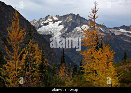 WASHINGTON - Vue du mont Logan de passage facile dans le parc national des North Cascades complexes. Banque D'Images