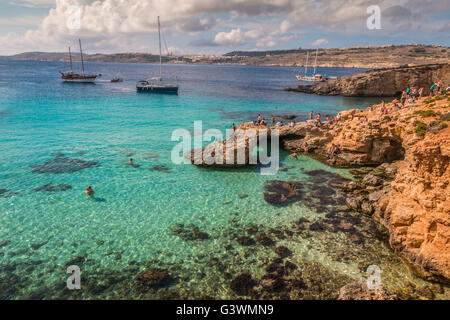 Avis de lagons de l'île de Comino Malte Banque D'Images