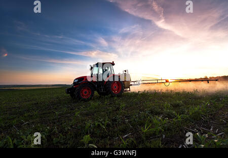 La pulvérisation du tracteur sur un champ au printemps à la ferme, de l'agriculture Banque D'Images