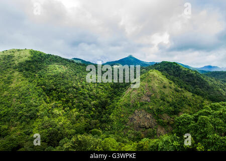 Le Silent Valley National Park est un lieu unique de préserver les forêts tropicales naturelles. Banque D'Images