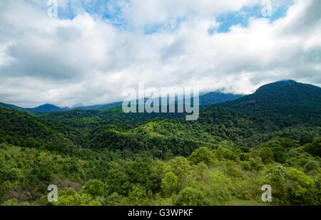 Le Silent Valley National Park est un lieu unique de préserver les forêts tropicales naturelles. Banque D'Images