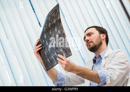 Portrait of doctor sitting in office holding xray droit Banque D'Images