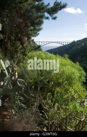 Viaduc de Tilos la palma grande arche en béton du pont routier enjambant span arches voûtées 357 mètres à travers Forêt de Los Tilos pour Banque D'Images