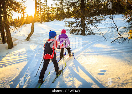 Deux enfants, garçon et fille, le ski en forêt au coucher du soleil. Le soleil se couche en haut à gauche dans l'image, la création de grandes ombres. Banque D'Images