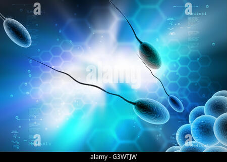Le sperme et l'ovule ameuhsante en arrière-plan couleur Banque D'Images