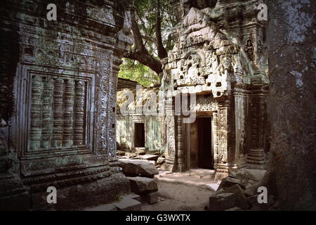 L'exploration d'un gate et de l'ancient Stone temple bouddhiste de Ta Prohm au Cambodge sous l'ombre des forêts Banque D'Images