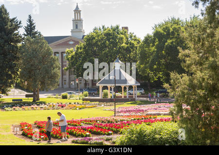 Vous pourrez voir la fleur jardin d'essai à la Colorado State University, 25 juillet 2015 à Fort Collins, Colorado. Le jardin est d'évaluer la performance de différents cultivars de plantes annuelles dans le cadre du Rocky Mountain unique des conditions environnementales. Banque D'Images