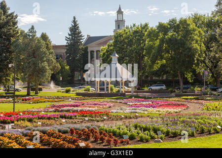 Vous pourrez voir la fleur jardin d'essai à la Colorado State University, 25 juillet 2015 à Fort Collins, Colorado. Le jardin est d'évaluer la performance de différents cultivars de plantes annuelles dans le cadre du Rocky Mountain unique des conditions environnementales. Banque D'Images