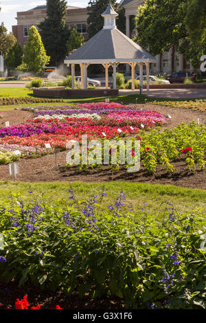 Vous pourrez voir la fleur jardin d'essai à la Colorado State University, 25 juillet 2015 à Fort Collins, Colorado. Le jardin est d'évaluer la performance de différents cultivars de plantes annuelles dans le cadre du Rocky Mountain unique des conditions environnementales. Banque D'Images