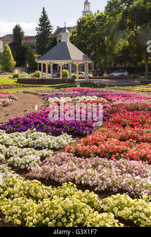 Vous pourrez voir la fleur jardin d'essai à la Colorado State University, 25 juillet 2015 à Fort Collins, Colorado. Le jardin est d'évaluer la performance de différents cultivars de plantes annuelles dans le cadre du Rocky Mountain unique des conditions environnementales. Banque D'Images