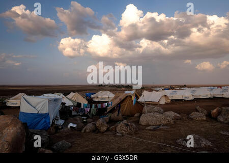 Avis de Newroz situé dans le camp de réfugiés de Al Jazira, Canton nord-est de la Syrie. Newroz a été initialement établi pour abriter les Syriens déplacés de la guerre civile en Syrie puis occupées par des personnes déplacées de la minorité secte Yazidis, fuyant les violences dans la ville irakienne de Sinjar Banque D'Images