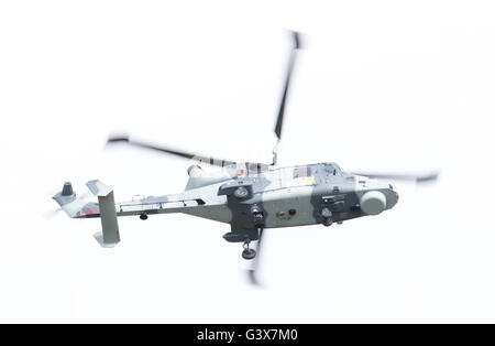 LEEUWARDEN, Pays-Bas - 11 juin 2016 : Royal Navy (Black Cats Display Team) Agusta Westland AW-159 Wildcat HMA2 performing Banque D'Images