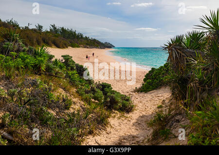 Warwick Long Bay Beach sur la côte sud de l'Bermudes Banque D'Images