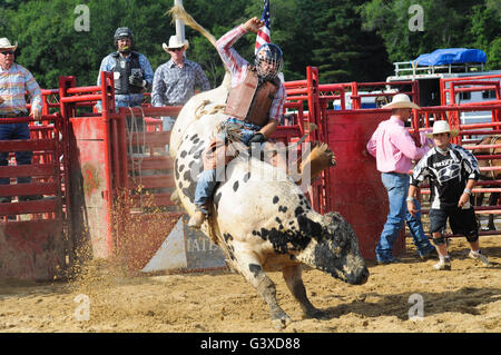 Un Rodeo Cowboy Riding UN Bucking Bull Banque D'Images