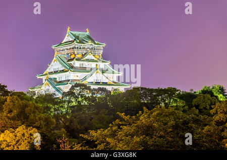 Vue de nuit sur le château d'Osaka au Japon Banque D'Images