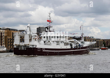 Londres, Royaume-Uni. 16 juin 2016. La finale de trois bateaux de pêche, Christina, Resolute et défi de l'Atlantique qui ont pris part à la pêche "d'autorisation de pêche de la flottille des bateaux, de quitter Londres sous le Tower Bridge sur la Tamise pour revenir à l'Ecosse ce matin. Les membres du groupe d'autorisation de pêche, soutenue par Nigel Farage font campagne pour quitter l'Union européenne devant l'organisation d'un référendum le 23 juin. Credit : Voyage pics/Alamy Live News Banque D'Images