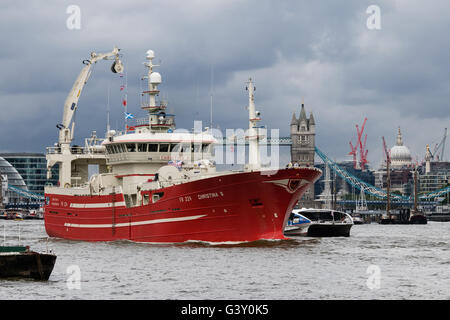 Londres, Royaume-Uni. 16 juin 2016. La finale de trois bateaux de pêche, Christina, Resolute et défi de l'Atlantique qui ont pris part à la pêche "d'autorisation de pêche de la flottille des bateaux, de quitter Londres sous le Tower Bridge sur la Tamise pour revenir à l'Ecosse ce matin. Les membres du groupe d'autorisation de pêche, soutenue par Nigel Farage font campagne pour quitter l'Union européenne devant l'organisation d'un référendum le 23 juin. Credit : Voyage pics/Alamy Live News Banque D'Images