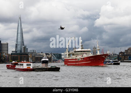 Londres, Royaume-Uni. 16 juin 2016. La finale de trois bateaux de pêche, Christina, Resolute et défi de l'Atlantique qui ont pris part à la pêche "d'autorisation de pêche de la flottille des bateaux, de quitter Londres sous le Tower Bridge sur la Tamise pour revenir à l'Ecosse ce matin. Les membres du groupe d'autorisation de pêche, soutenue par Nigel Farage font campagne pour quitter l'Union européenne devant l'organisation d'un référendum le 23 juin. Credit : Voyage pics/Alamy Live News Banque D'Images