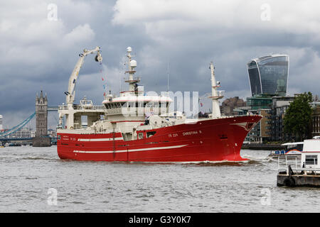 Londres, Royaume-Uni. 16 juin 2016. La finale de trois bateaux de pêche, Christina, Resolute et défi de l'Atlantique qui ont pris part à la pêche "d'autorisation de pêche de la flottille des bateaux, de quitter Londres sous le Tower Bridge sur la Tamise pour revenir à l'Ecosse ce matin. Les membres du groupe d'autorisation de pêche, soutenue par Nigel Farage font campagne pour quitter l'Union européenne devant l'organisation d'un référendum le 23 juin. Credit : Voyage pics/Alamy Live News Banque D'Images