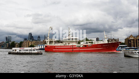 Londres, Royaume-Uni. 16 juin 2016. La finale de trois bateaux de pêche, Christina, Resolute et défi de l'Atlantique qui ont pris part à la pêche "d'autorisation de pêche de la flottille des bateaux, de quitter Londres sous le Tower Bridge sur la Tamise pour revenir à l'Ecosse ce matin. Les membres du groupe d'autorisation de pêche, soutenue par Nigel Farage font campagne pour quitter l'Union européenne devant l'organisation d'un référendum le 23 juin. Credit : Voyage pics/Alamy Live News Banque D'Images