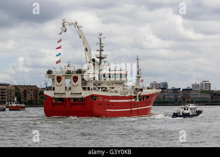 Londres, Royaume-Uni. 16 juin 2016. La finale de trois bateaux de pêche, Christina, Resolute et défi de l'Atlantique qui ont pris part à la pêche "d'autorisation de pêche de la flottille des bateaux, de quitter Londres sous le Tower Bridge sur la Tamise pour revenir à l'Ecosse ce matin. Les membres du groupe d'autorisation de pêche, soutenue par Nigel Farage font campagne pour quitter l'Union européenne devant l'organisation d'un référendum le 23 juin. Credit : Voyage pics/Alamy Live News Banque D'Images