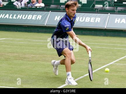 Halle, Rhénanie du Nord-Westphalie, Allemagne. 16 Juin, 2016. Gerry Webber open de tennis. David Goffin ( BEL ) Crédit : Action Plus de Sports/Alamy Live News Banque D'Images