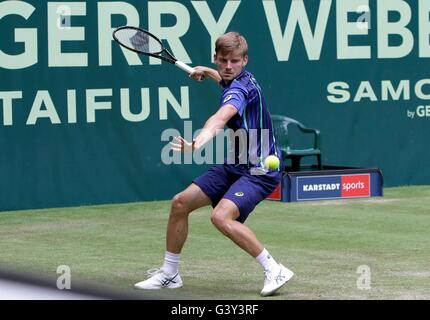 Halle, Rhénanie du Nord-Westphalie, Allemagne. 16 Juin, 2016. Gerry Webber open de tennis. David Goffin ( BEL ) Crédit : Action Plus de Sports/Alamy Live News Banque D'Images