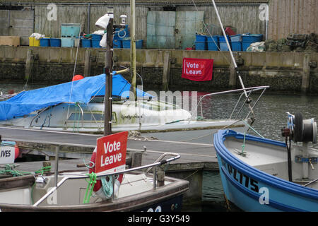 Signes ' ' laisser voter dans un port, à Cornwall, en Angleterre. © Juergen Schwarz / Alamy Live News Banque D'Images