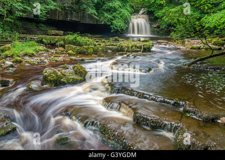 Cascade de West Burton dans Bishopdale dans le Yorkshire Dales National Park Banque D'Images