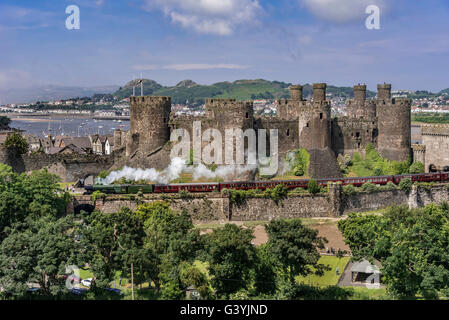 Château de Conwy Clwyd le Nord du Pays de Galles sur la rivière Conwy. Conway The Flying Scotsman locomotive train à vapeur Banque D'Images