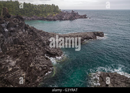 Jusangjeolli Daepo falaise sur l'île de Jeju en Corée du Sud. Banque D'Images