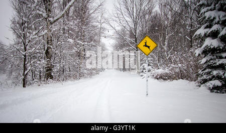 Route couverte de neige avec Deer Crossing Sign. Snow covered rural route à travers la forêt avec deer crossing sign. Banque D'Images