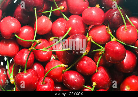 Les cerises dans une passoire avec de l'eau gouttes Banque D'Images