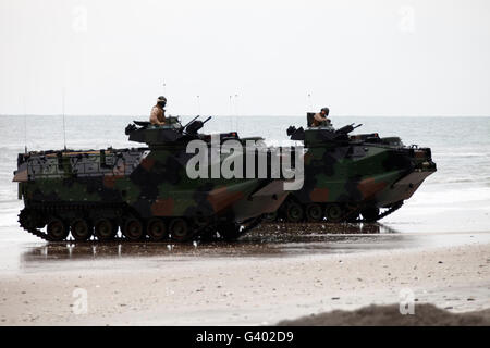 Les véhicules d'assaut amphibie terre à terre Camp Lejeune, Caroline du Nord. Banque D'Images