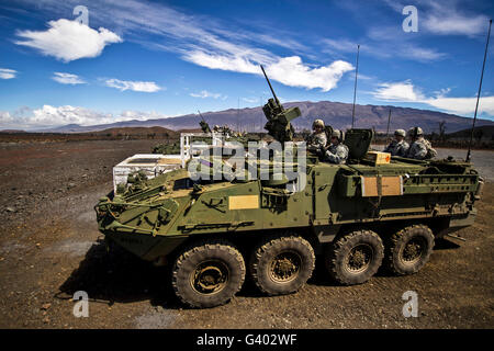 Les soldats de l'armée américaine l'engagement de cibles dans un véhicule Stryker. Banque D'Images