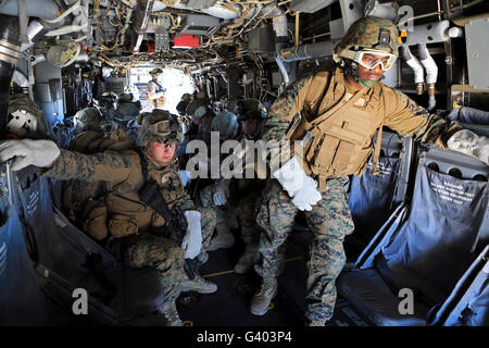 Les Marines américains et les marins se préparent à mener la formation de suspension corde d'hélicoptères. Banque D'Images