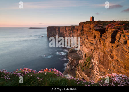 Marwick Head cliffs Banque D'Images