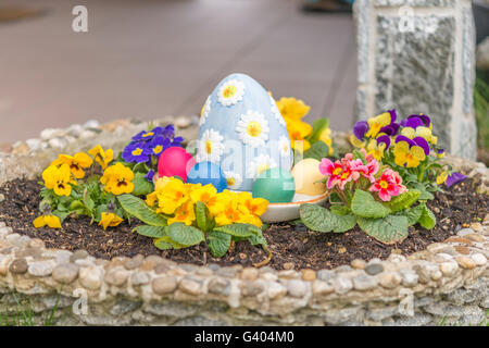 Les oeufs de Pâques colorés dans un pot de fleurs avec des fleurs violettes cornu Banque D'Images