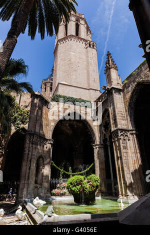 Fontaine dans l'atrium de la cathédrale de Barcelone, Catalogne, Espagne. Banque D'Images